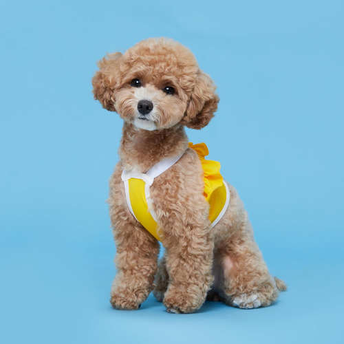 Flot Designer Dog Crop Top Materials Premium Ajustado Diseña