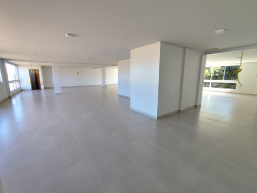 Alugo Salas Comerciais Avenida Palmas Brasil Norte