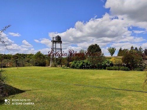 Venta De Chacra Sobre Ruta 9 A 30 Km De Jose Ignacio- Ref: 17546