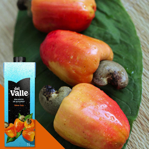Suco Del Valle Caju Sem Açúcar Adicionado 1l Caixa 6 Un
