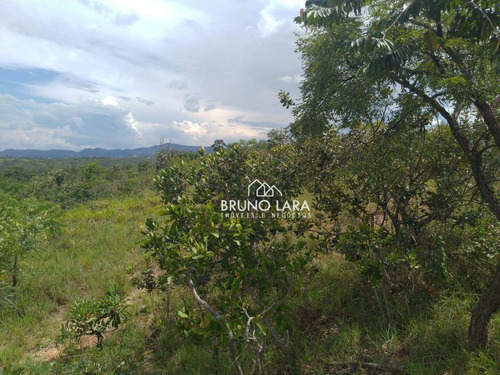Imagem 7 de 13 de Lote À Venda Em Igarapé Bairro Santa Ana Ii. - Te0188