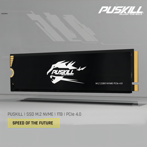 Hd Ssd M.2 2280 PUSKILL 1tb NVMe PCIe 4.0x4 Psk-m2ssdp44-1024g
