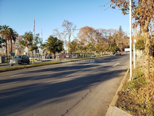Imagen 4 de 13 de Sitio En Venta En San Bernardo