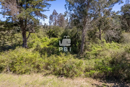 Terreno En Venta La Capuera - Ref : Pbi1539