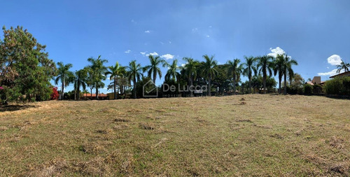 Imagem 4 de 8 de Terreno À Venda Em Parque Luciamar - Te007480