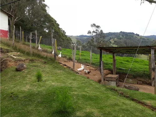 Finca En Vender En Medellín