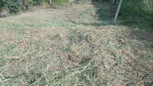 Terreno Em Araçariguama