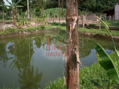 Imagem 10 de 15 de Chacara - Ref: 169 - V-169