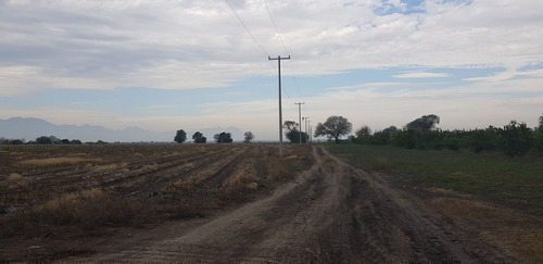 Terrenos A La Venta Para Uso Agrícola O Campestre En Caderey
