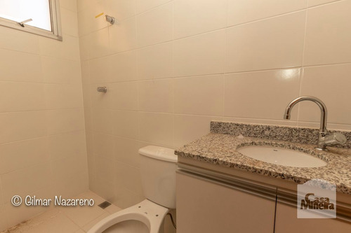 Imagem 12 de 15 de Apartamento À Venda No Serra - Código 239566 - 239566