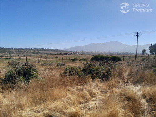 Agrícola En Venta En Quintero