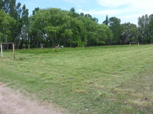 Imagen 2 de 19 de Finca 14 Ha - Cañada Seca - San Rafael- Mendoza