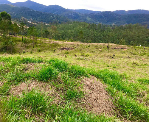 Imagem 4 de 7 de G7 - Terreno Em Mairiporã!