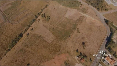Imagem 9 de 11 de Área À Venda, 20262 M² Por R$ 3.545.950,00 - Guatupê - São José Dos Pinhais/pr - Ar0083