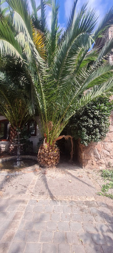 Construcción De Jardines Mantenimiento I Riegos Automáticos
