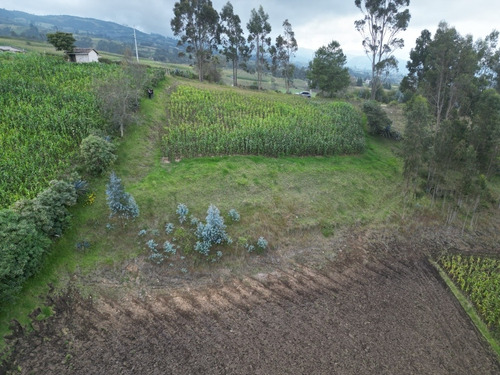 Imagen 6 de 6 de Se Vende Terreno De 3.604 Con Vista Al Lago San Pablo