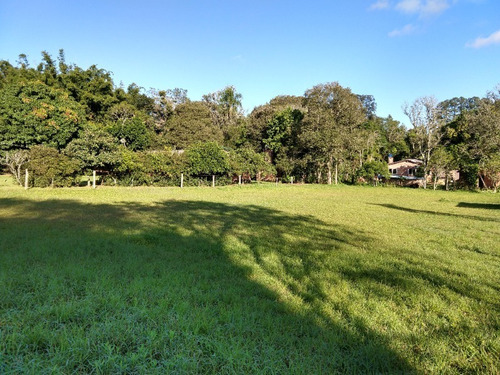 Chácara 1.375 M² - Morungava - Gravataí - Rs - 1788 - 32490456