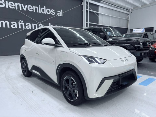 BYD Dolphin Mini 0.0 Plus Ev