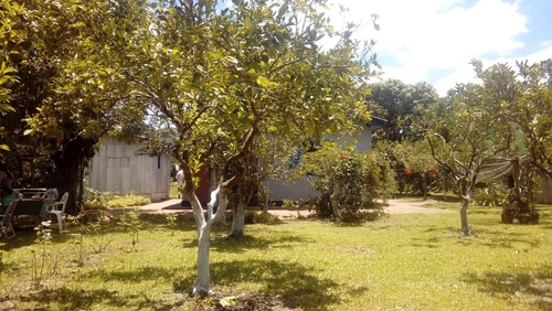 Chácara Com Casa Extrema/lami