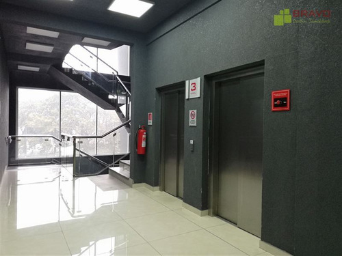 Planta Libre A Pasos Del Centro De Temuco