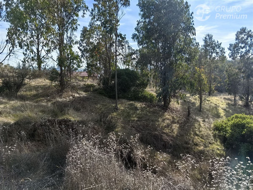 Terreno En Venta En Comuna De Navidad, 5.000 M2, Vi Región,