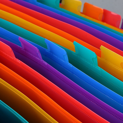 . A4 File Folder Organizer With 13 Expanding Pockets
