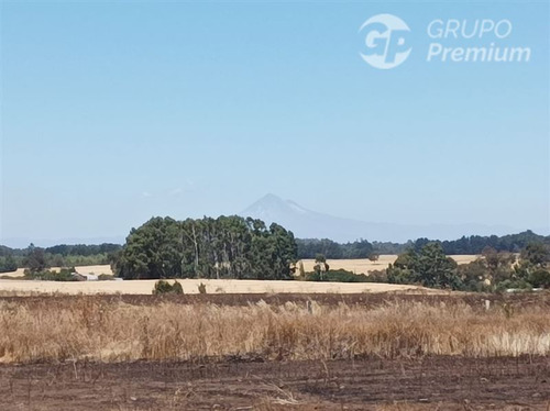Imagen 6 de 17 de Terreno Agrícola En Venta En Victoria