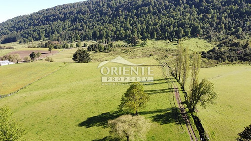Vive En Un Paraíso Natural En Malalcahuello