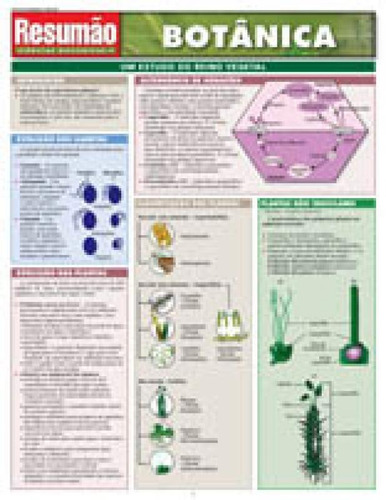 Resumao Botanica - Bafisa