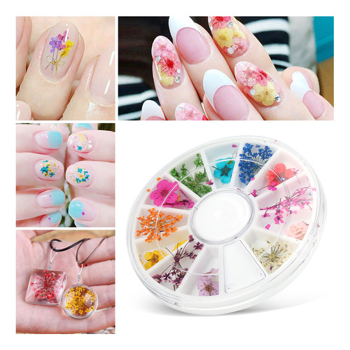 Set De 12 Tipos De Coloridas Flores Secas Naturales Real Dry