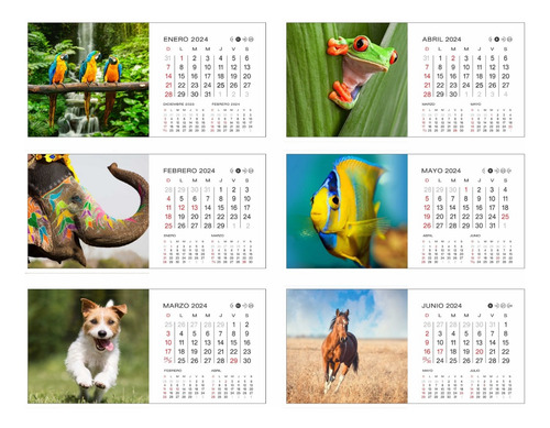 Calendario 2024 De Escritorio Carpita - Paisajes / Animales