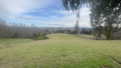 Vendo Campo 6 Ha Con Casa Camino Huichahue (66896)