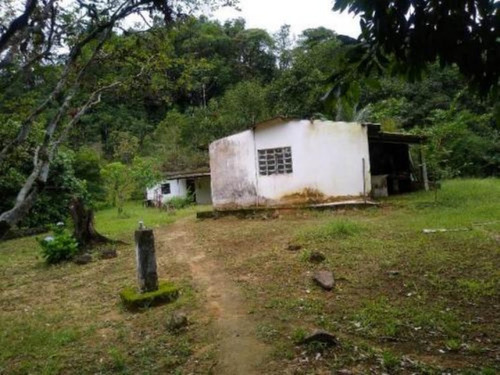 Imagem 8 de 9 de Chácara À Venda Em Peruíbe Com 24 Mil M².