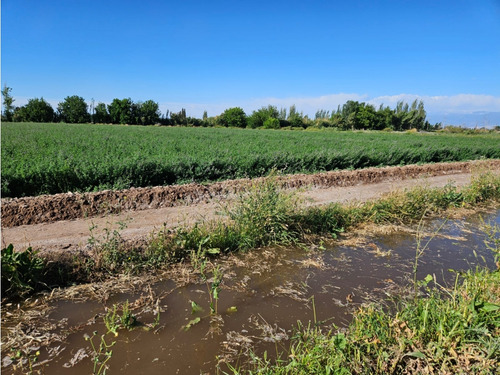 Venta Finca 20 Hectareas Apto Pistachos Altos Del Olvido Mendoza