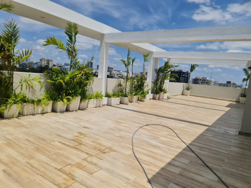 Zona Universitaria - Apartamento Nuevo En Alquiler Vacío - Balcón 2 Habitaciones 2.5 Baños 2 Parqueos Sala-comedor Cocina Con Desayunador Área Social Con Vista Al Mar, Bar Y Bbq Gimnasio