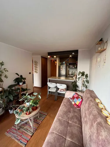 Arriendo Departamento En Concepción (91027)