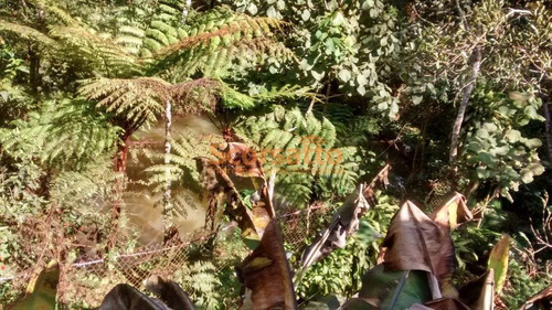 Imagem 8 de 10 de Chácara À Venda, Jardim São Marcos, Itapecerica Da Serra/sp - 2775