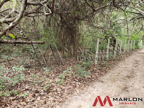 Imagem 4 de 8 de Vtp02275 Terreno Nisia Floresta, Com 39.346m2