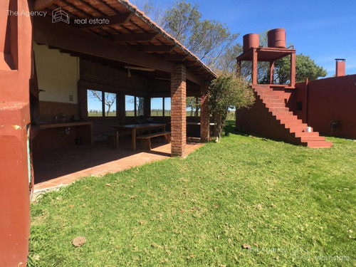 Imagen 7 de 14 de Chacra - José Ignacio