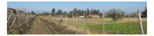 Imagen 8 de 11 de Sitio Reina Sur/reina Sur