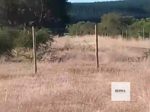 Parcela En Cauquenes
