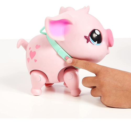 Pequenos Animais Vivos Meu Porco De Estimao Piggly Porco