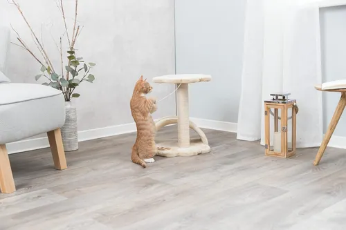 Arbol Para Gatos Trixie Vitoria De 16.9 Pulgadas Para Gat...