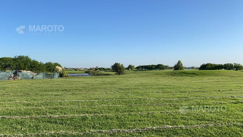 Imagen 4 de 12 de Lote En Venta En El Canton - Maroto Propiedades