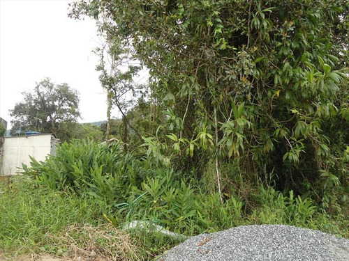 Imagem 2 de 6 de Terreno - Venda - Verde Mar - Itanhaem - Ita2613