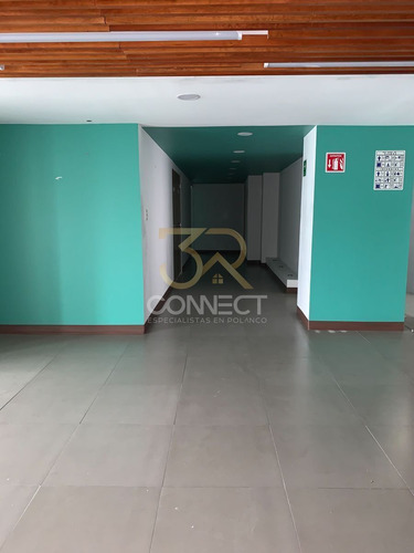Oficina En Renta En Polanco 4c/3b/2e - Bodega - 260m2