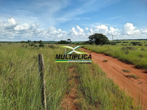 Oportunidade Chácara À Venda Uberlândia 20.000 M² Por R$ 130.000, Financia - 394