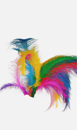Plumas De Colores +40cm (pack 10un.) Colores Especiales Rosa
