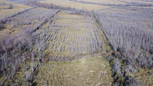 Venta De Terreno 300 Hectáreas Desarollo Escobar