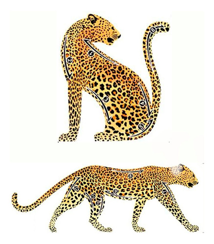 Molde Delineador De Olho Forma (leopardo) Sombra- Maquiagem